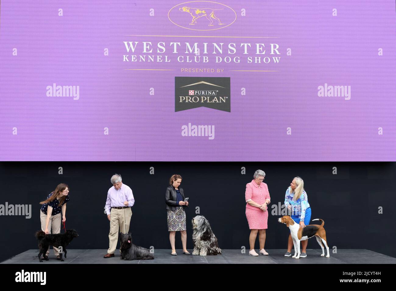 Los dueños y perros asisten a la Previsión de Prensa del Espectáculo de Perros del Club Westminster Kennel en Hudson Yards en la Ciudad de Nueva York, EE.UU., 16 de junio de 2022. REUTERS/Brendan McDermid Foto de stock