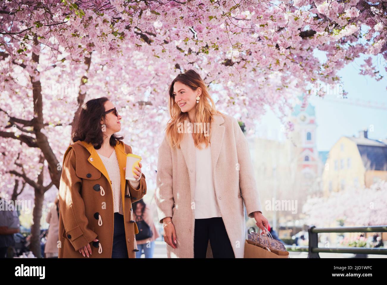 Mujeres jóvenes sonrientes caminando bajo flor de cerezo Foto de stock