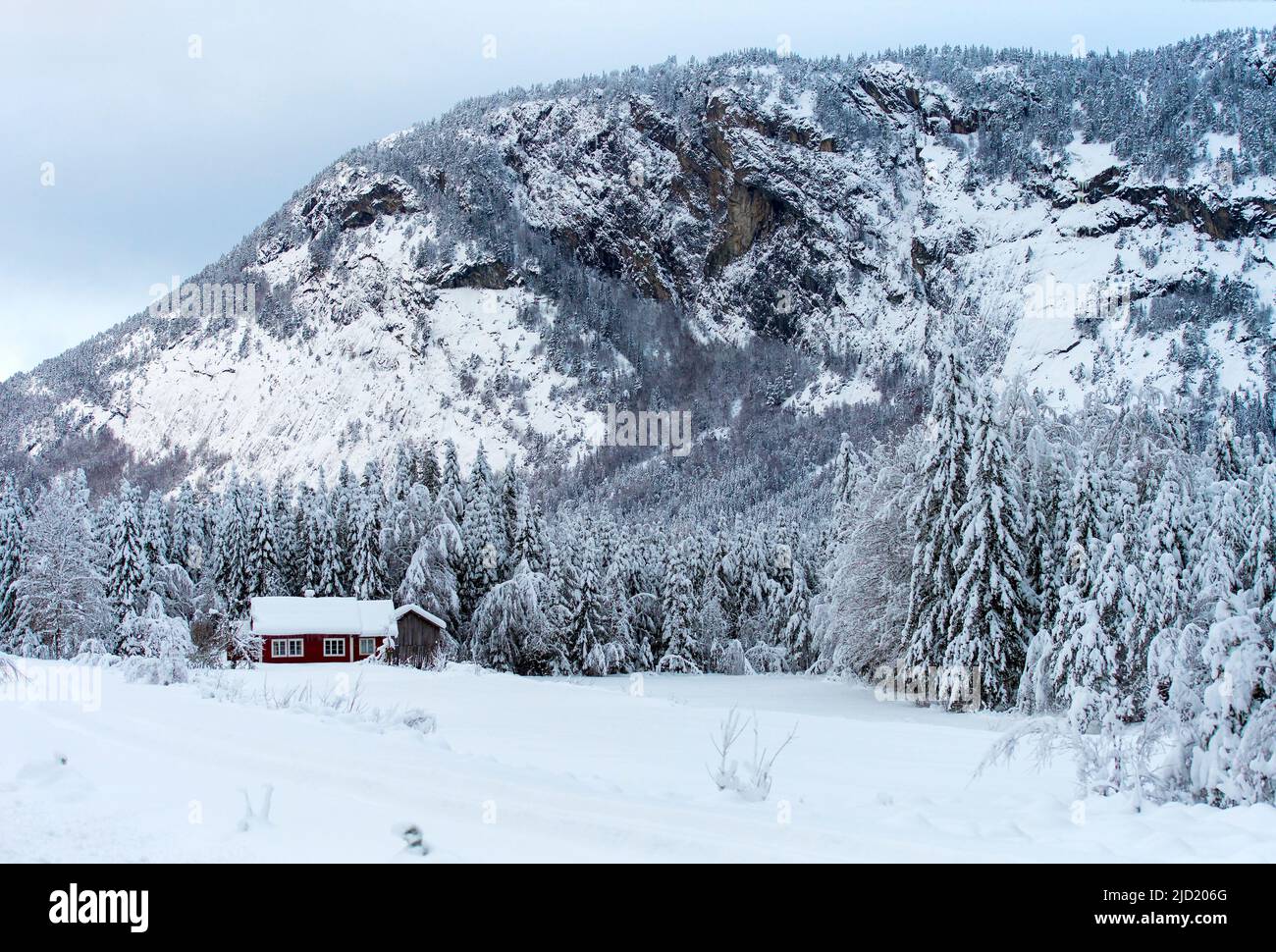 Paisaje invernal en Urebakksbenken (cerca del río Otra) en el condado de Bygland, Setesdal, Aust-Agder, Noruega Foto de stock