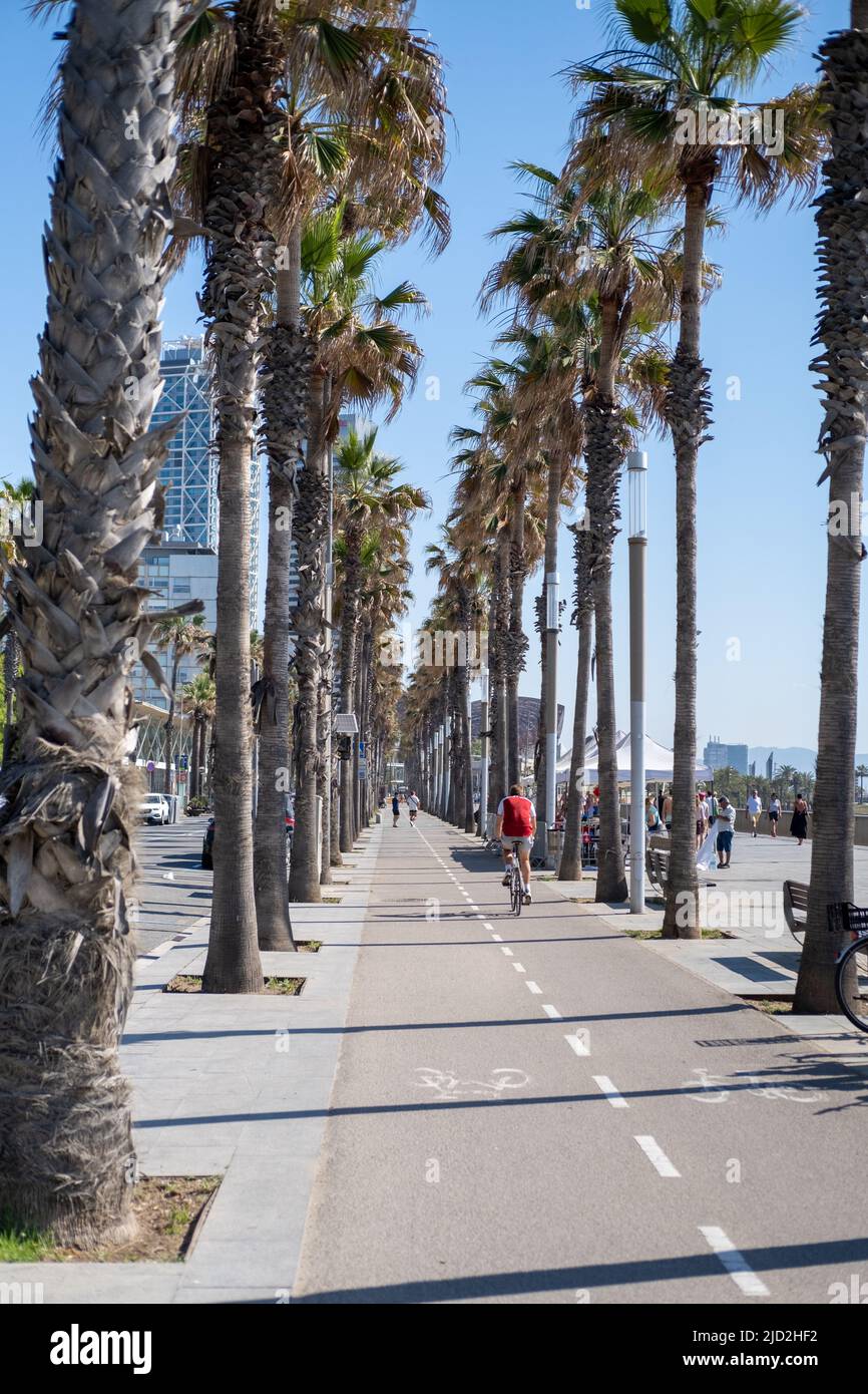 Playa de la Barceloneta en la ciudad de Barcelona, España. Foto de stock