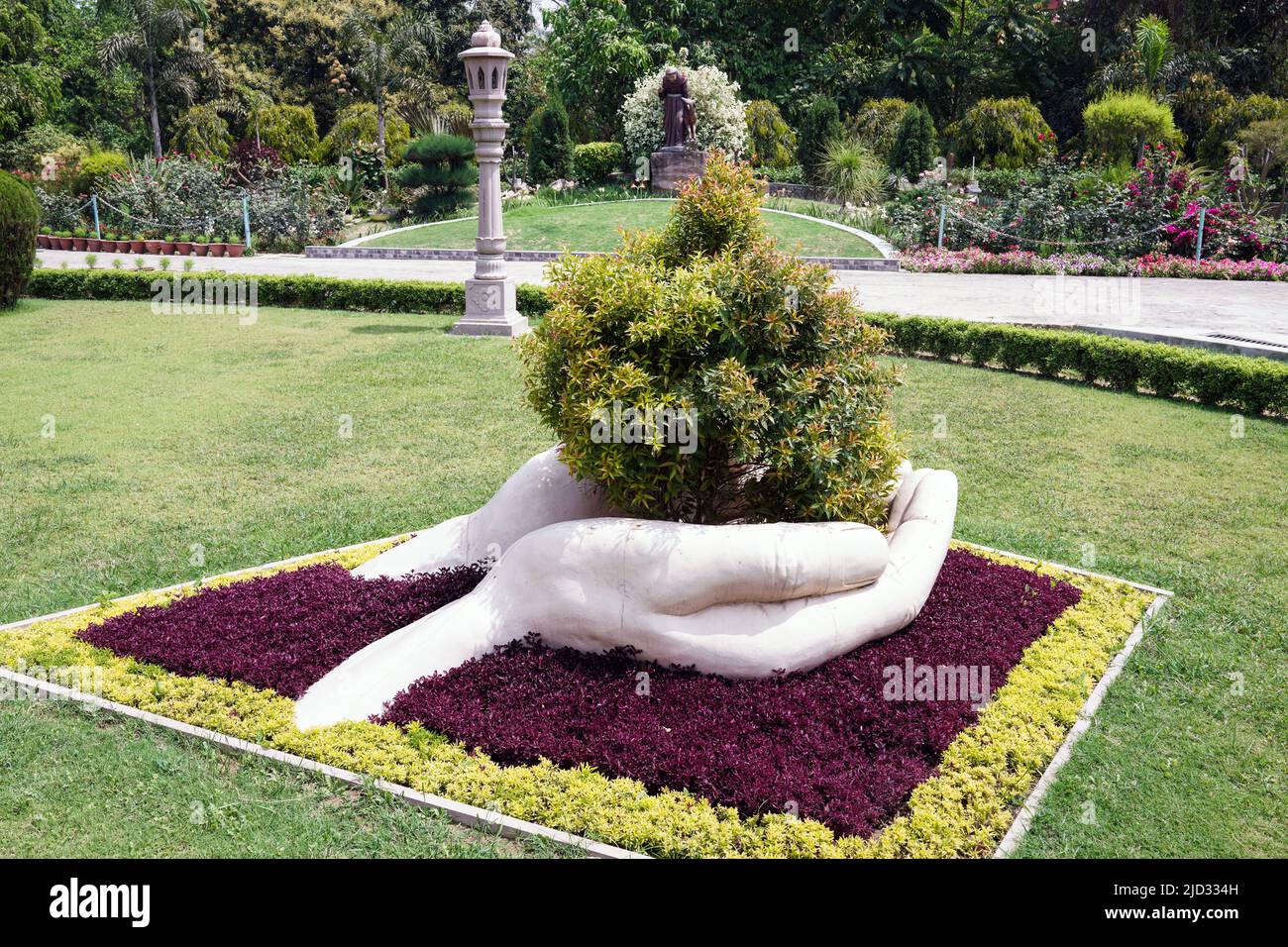 Una mano grande sostiene un arbusto en el jardín del obispo de Varanasi, India Foto de stock