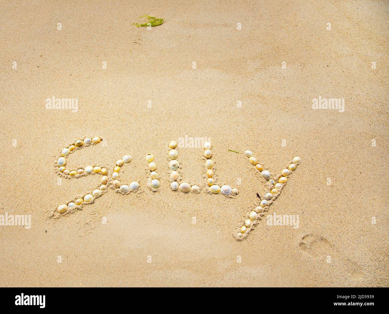 La palabra Silly escrita en conchas de mar en la arena Foto de stock