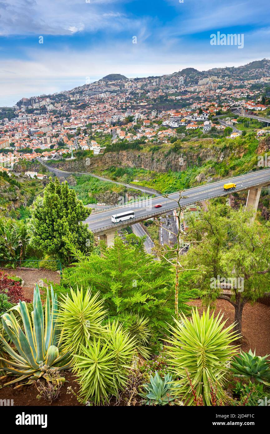 Vista de Funchal desde los jardines botánicos, Funchal, la isla de Madeira, Portugal Foto de stock