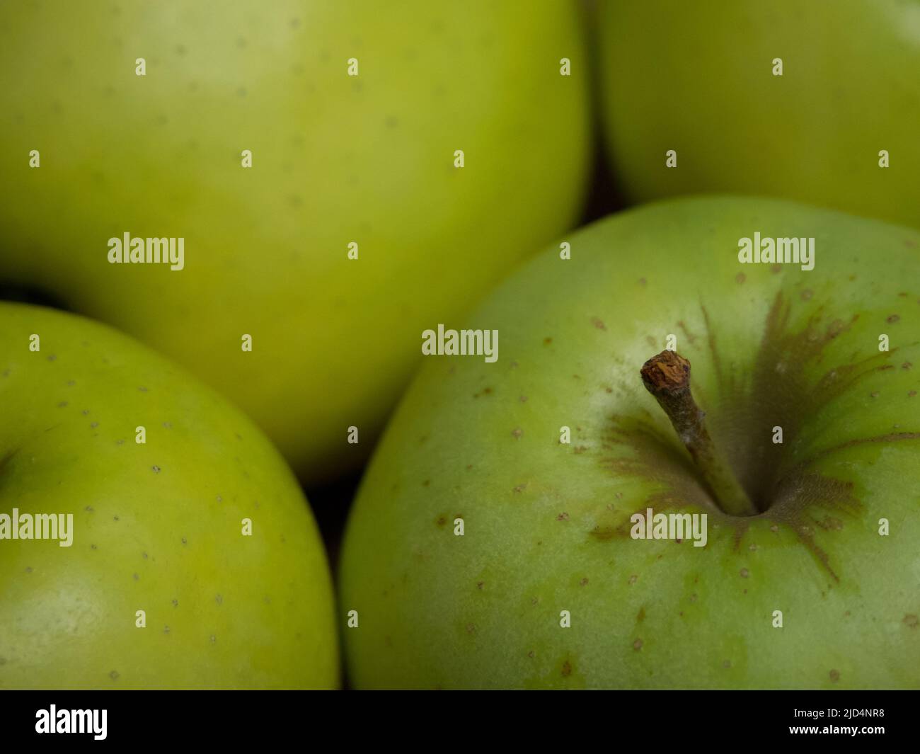 Reinette simirenko fotografías e imágenes de alta resolución - Alamy