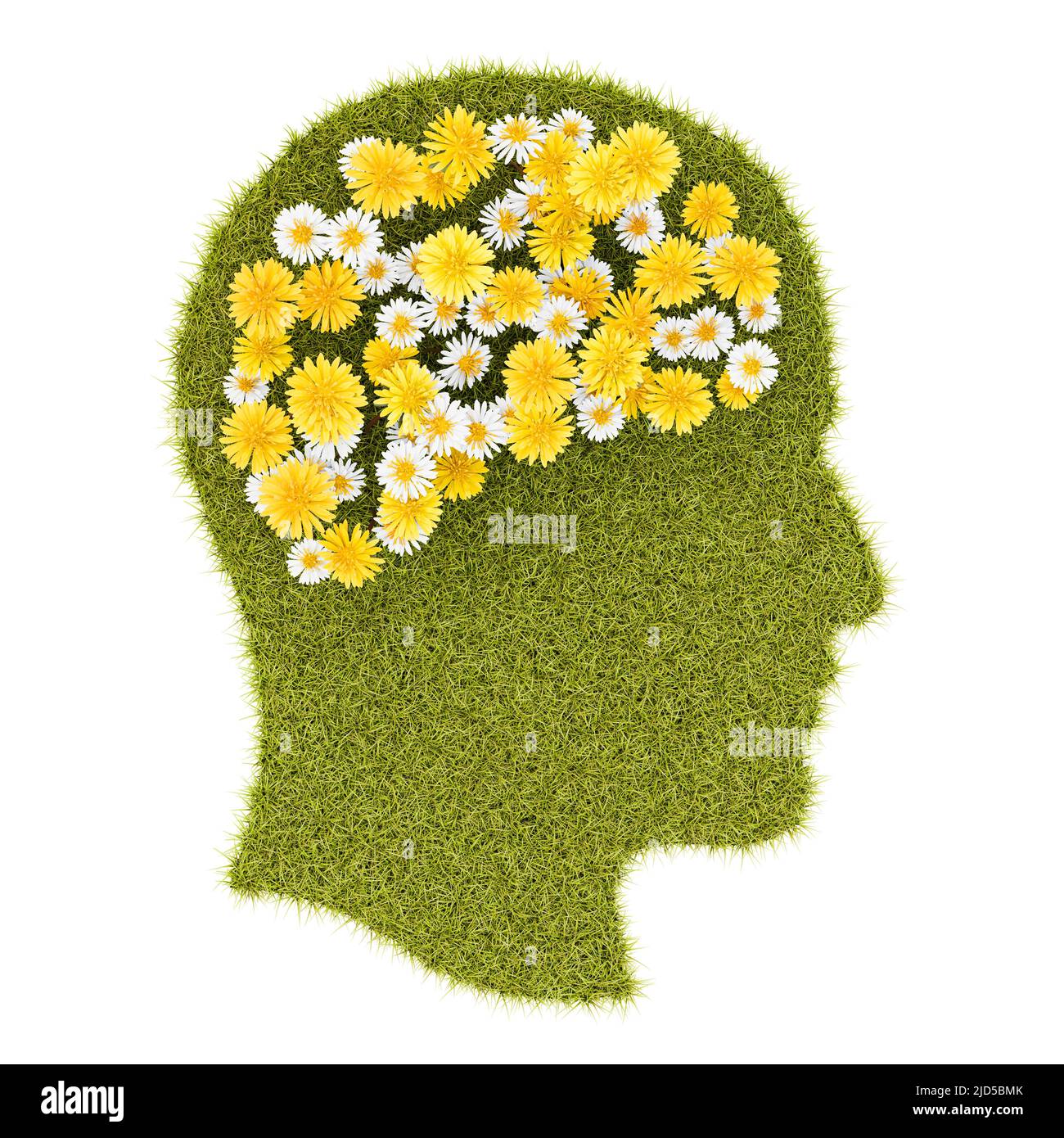 Flores Grassy Perfil de la cabeza humana con flores en forma de cerebro Foto de stock