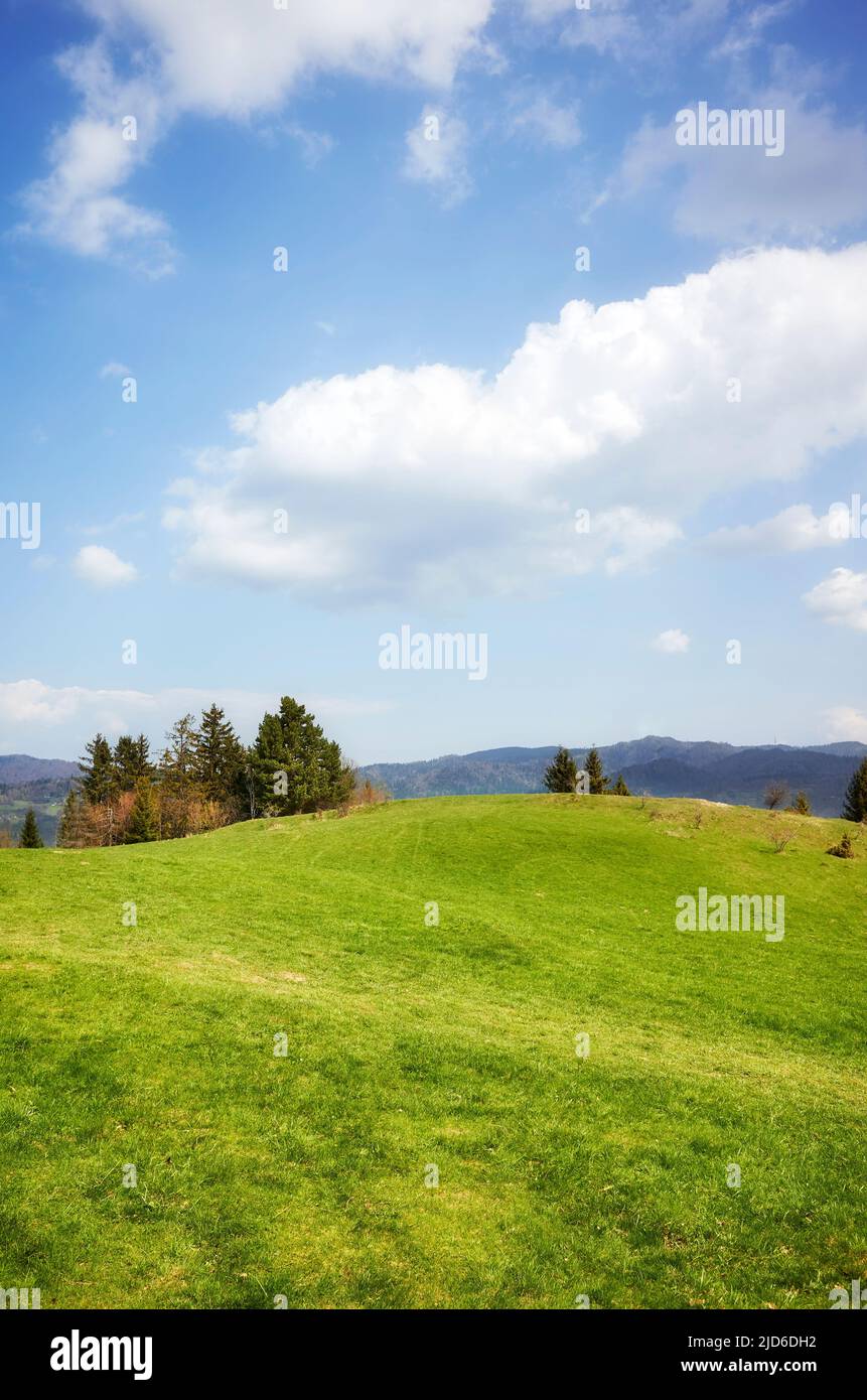 Vista de la Pieniny (las Montañas Pienin) en un día soleado, Polonia. Foto de stock