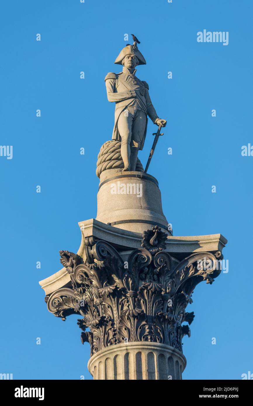 Nelson's Column, Trafalgar Square, Londres, Inglaterra, Reino Unido. Foto de stock