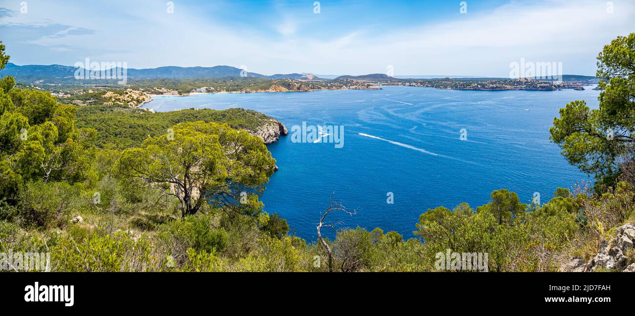 Vista panorámica sobre la bahía de Santa Ponsa con pinos en primer plano y los pueblos Cala Fornells, Peguera, Costa de la Calma y Santa Ponsa. Foto de stock
