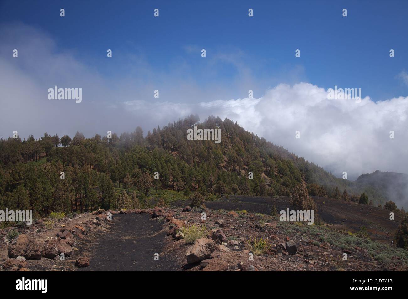 La Palma, paisajes a lo largo de la popular ruta de senderismo de largo alcance Ruta de Los Volcanes, pasando por la cresta de la isla desde El Paso hasta Fuencaliente Foto de stock