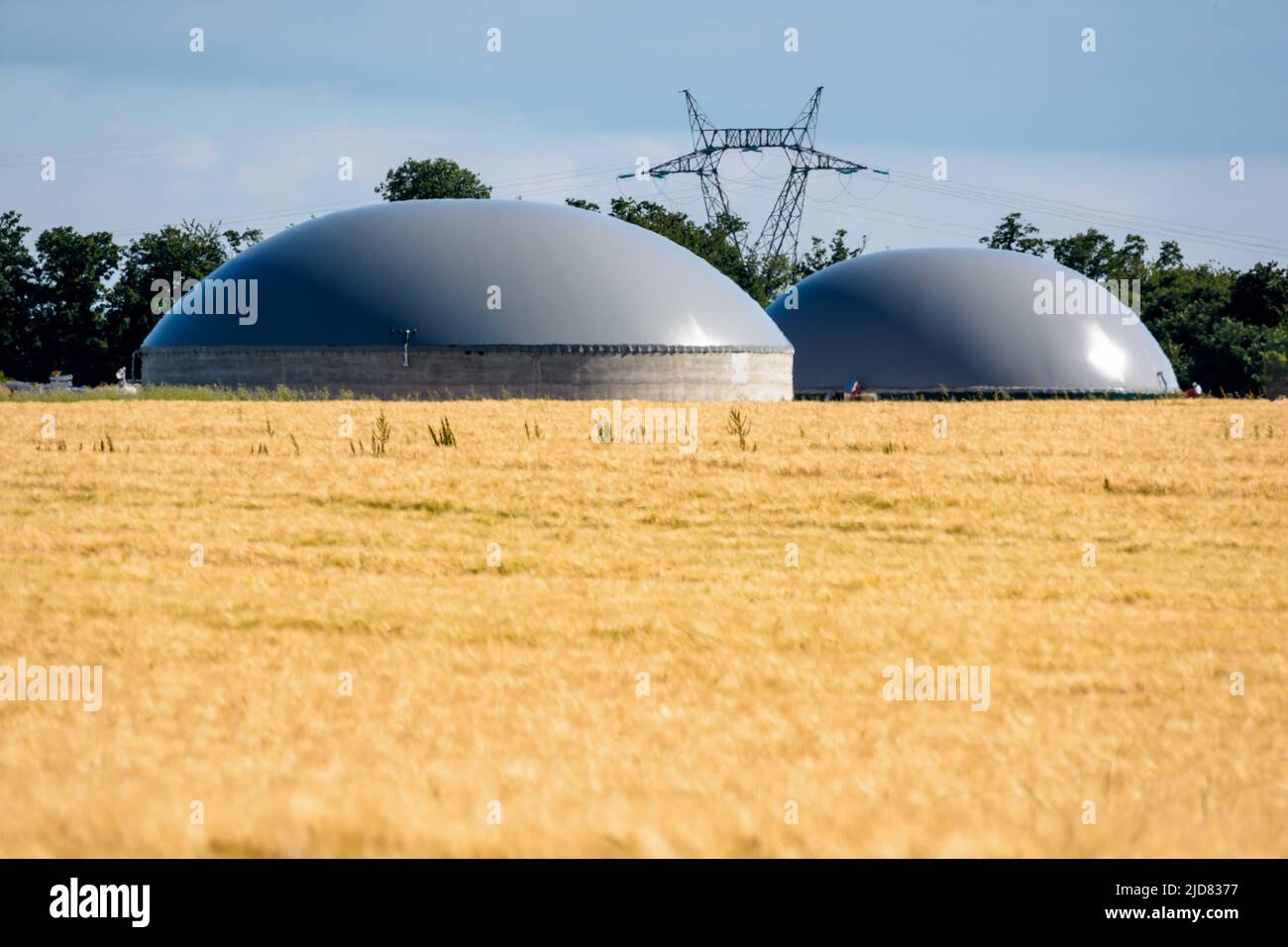 Vista general de una planta de biogás con dos digestores en un campo de trigo y un pilón eléctrico en la distancia en el campo. Foto de stock