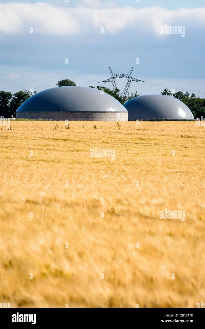 Vista general de una planta de biogás con dos digestores en un campo de trigo y un pilón eléctrico en la distancia en el campo. Foto de stock