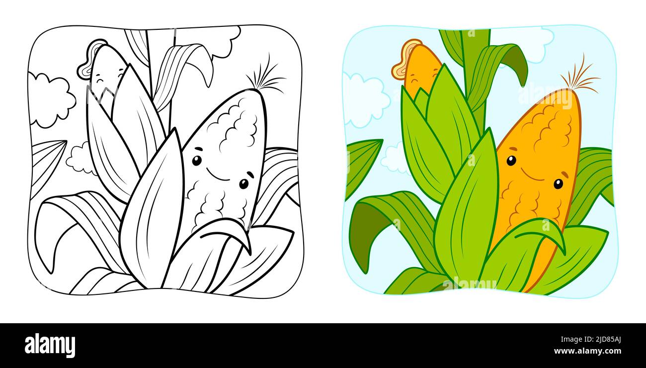 Libro para colorear o página para colorear para niños. Clipart de la  ilustración del vector de maíz. Fondo de la naturaleza Imagen Vector de  stock - Alamy