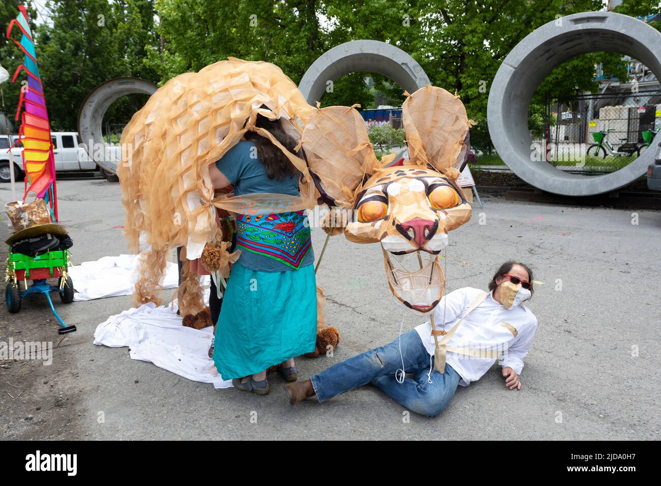 La artista Sarah Lovett pone el acabado tocado en su marioneta de leopardo nublado en el Desfile del Solsticio de Fremont en Seattle el sábado 18 de junio de 2022. El Foto de stock