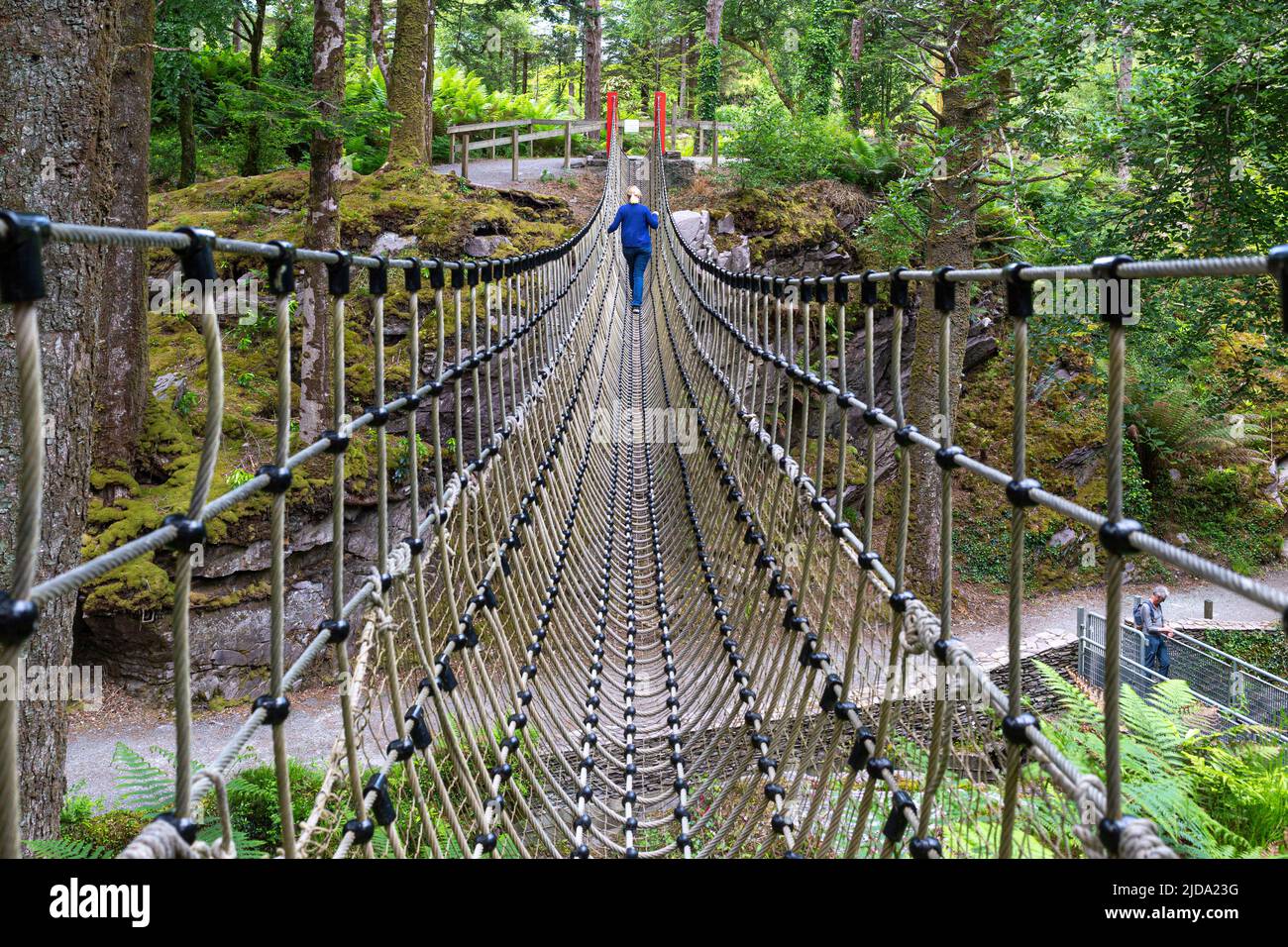 Puente de cuerda en Kells Bay Gardens, Condado de Kerry, Irlanda Foto de stock