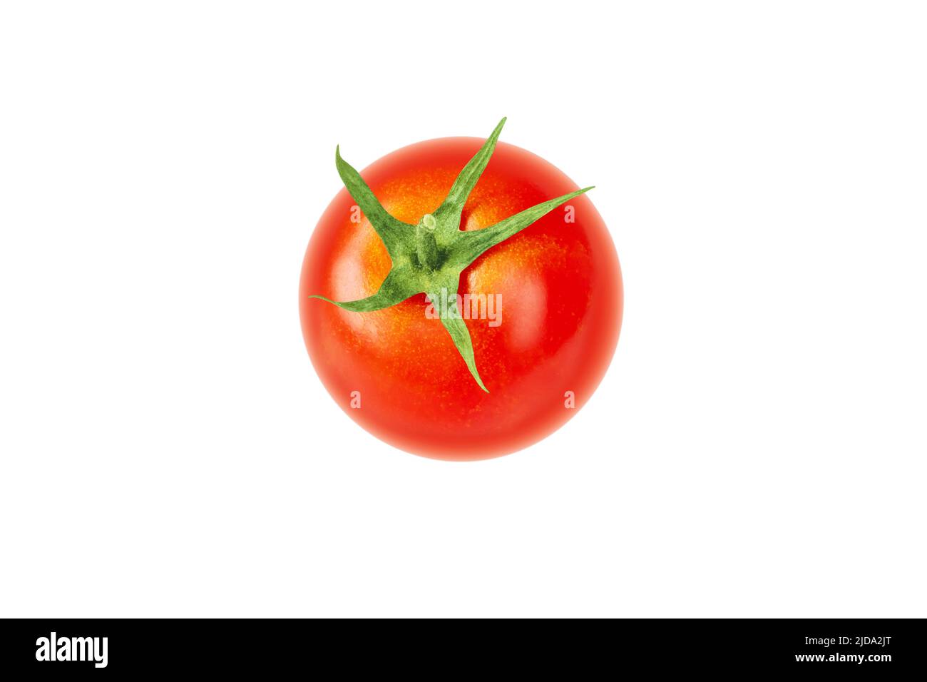 Tomate vegetal aislado sobre fondo blanco. Solanum lycopersicum fruta madura. Foto de stock