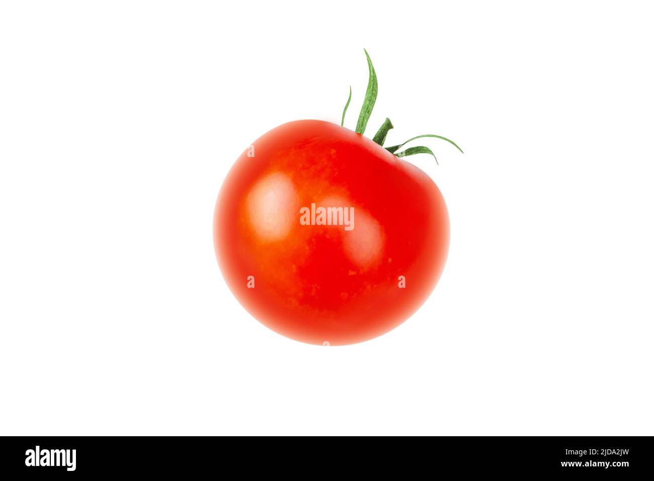 Tomate rojo aislado sobre fondo blanco. Solanum lycopersicum vegetal maduro. Foto de stock