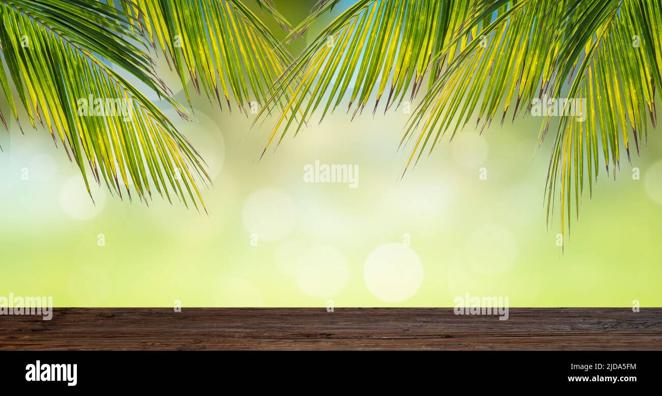 Verde fondo tropical con ramas de palma. Maqueta para la presentación de productos y publicidad. Foto de stock