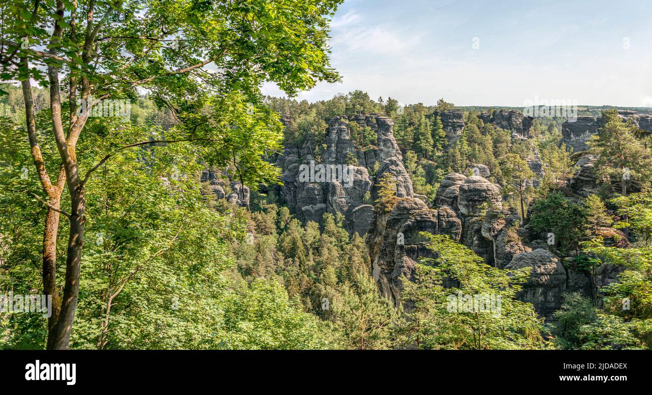 Vista panorámica panorámica panorámica desde la formación de rocas de Bastei en verano, sajón suizo cerca de Dresde, Alemania Foto de stock