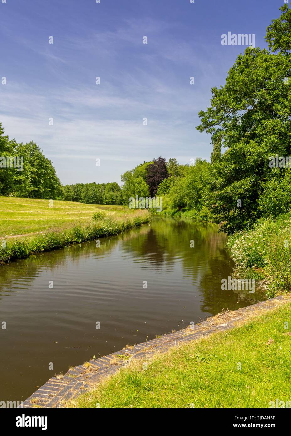 Lago de pesca de las piscinas de la pila en Springfield Park, Kidderminster, Worcestershire, Inglaterra. Foto de stock