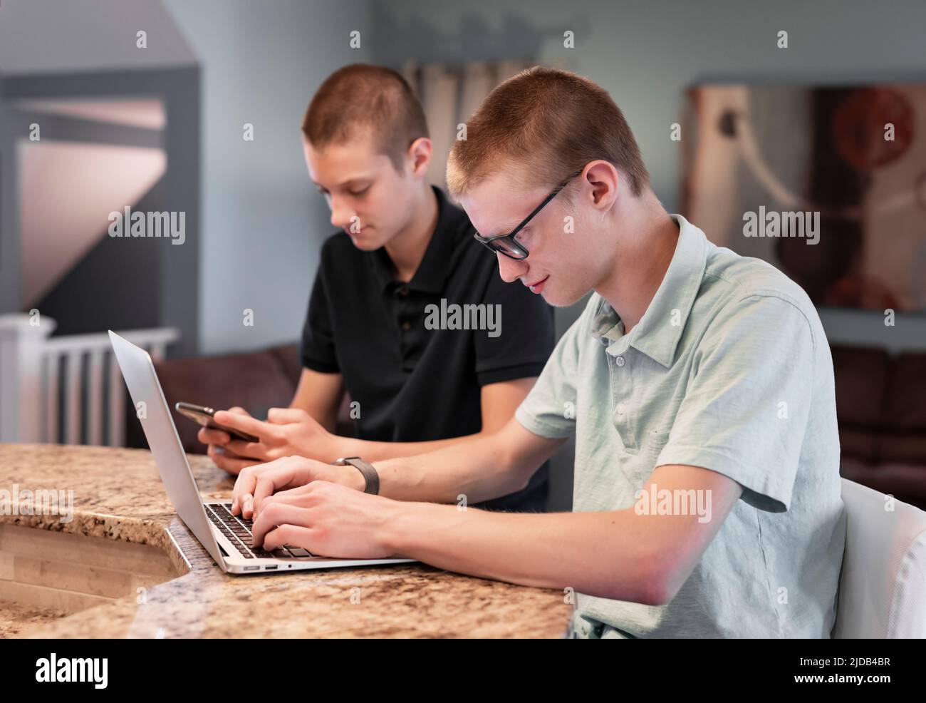 Jóvenes hermanos adultos usando la computadora portátil y el teléfono inteligente juntos en casa; Edmonton, Alberta, Canadá Foto de stock
