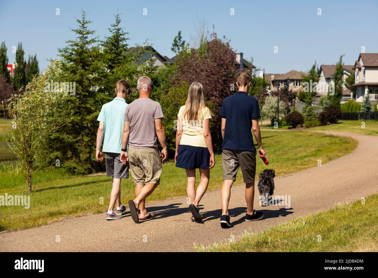 Familia con dos hijos adolescentes caminan juntos en un parque del vecindario con su perro en un hermoso día soleado; Edmonton, Alberta, Canadá Foto de stock