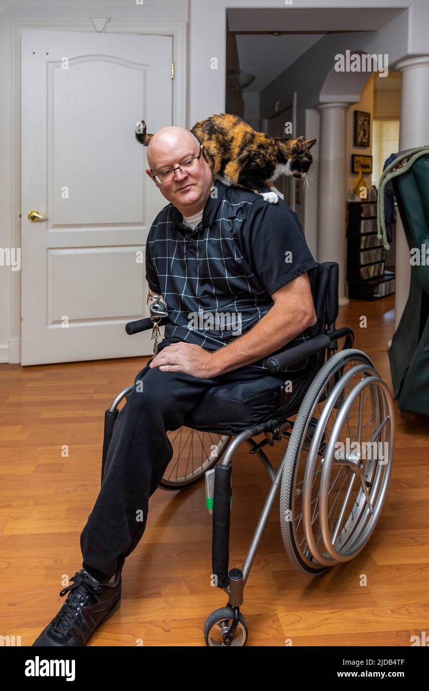 Hombre con amputaciones de doble extremidad sentado en su casa con su gato mascota arrastrándose sobre sus hombros; St. Albert, Alberta, Canadá Foto de stock
