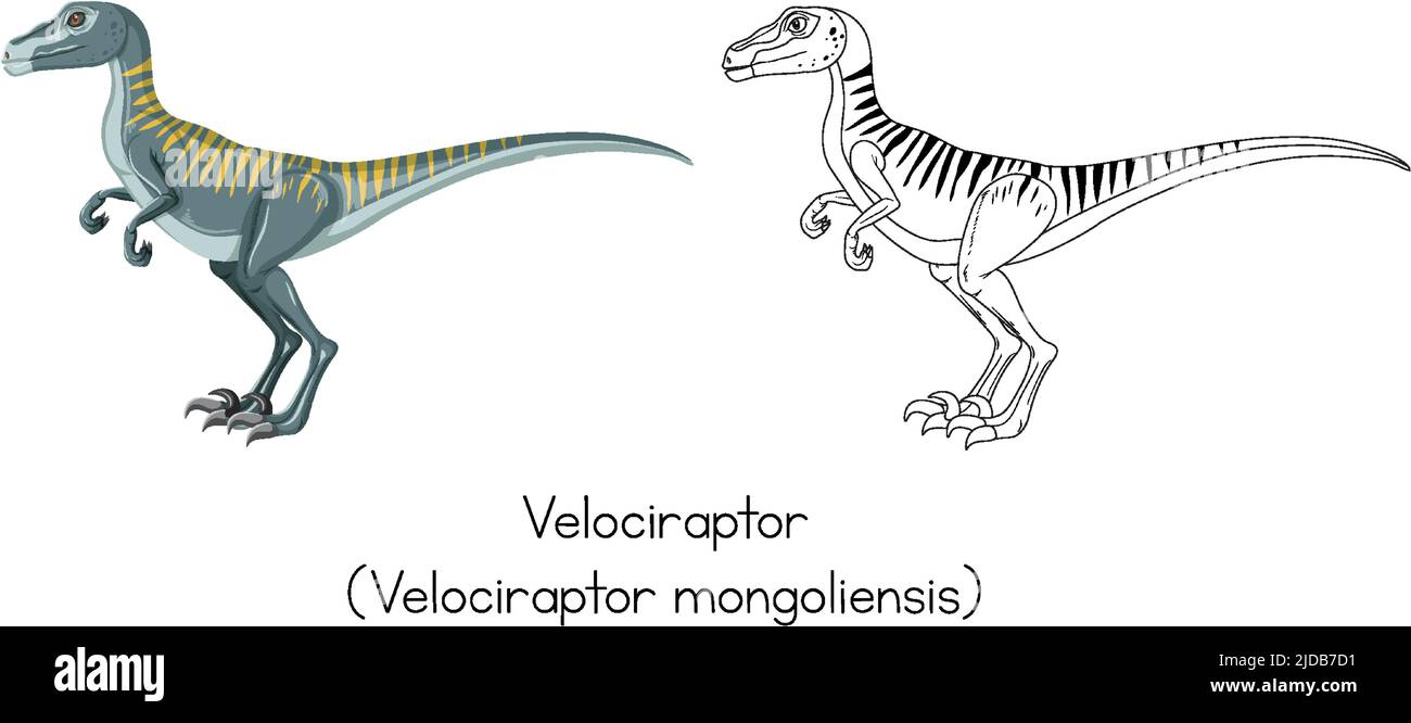 Dibujo de dinosaurios de la ilustración de velociraptor Imagen Vector de stock - Alamy Dibujo de dinosaurios de la ilustración de velociraptor Imagen Vector de stock - Alamy