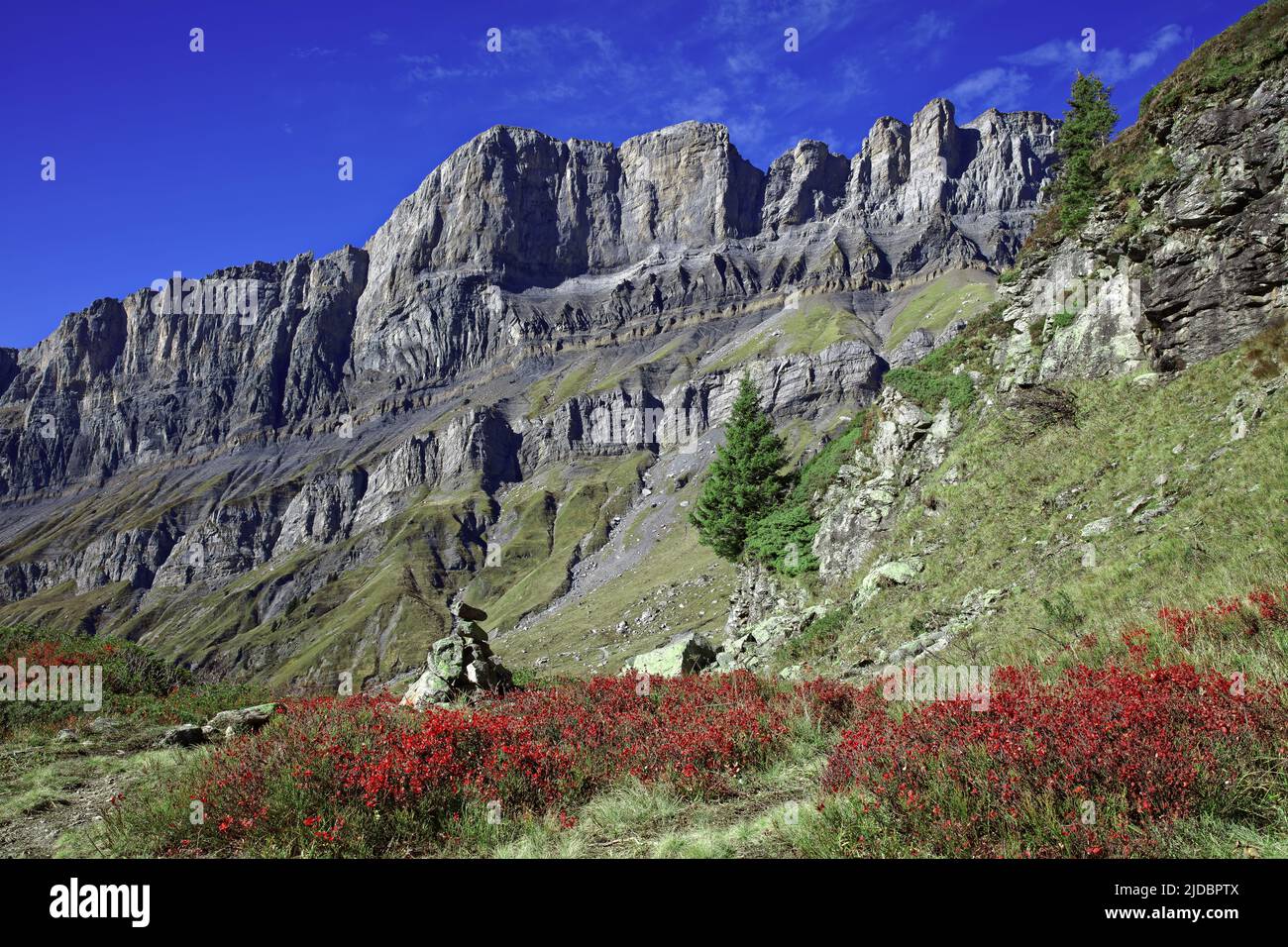 Francia, Alta Saboya, Servoz, Macizo de Fizs, Reserva Natural de Sixt-Passy Foto de stock
