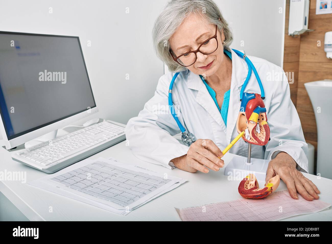 Doctor cardiólogo mientras consulta mostrando modelo anatómico del corazón humano. Consulta cardiológica Foto de stock