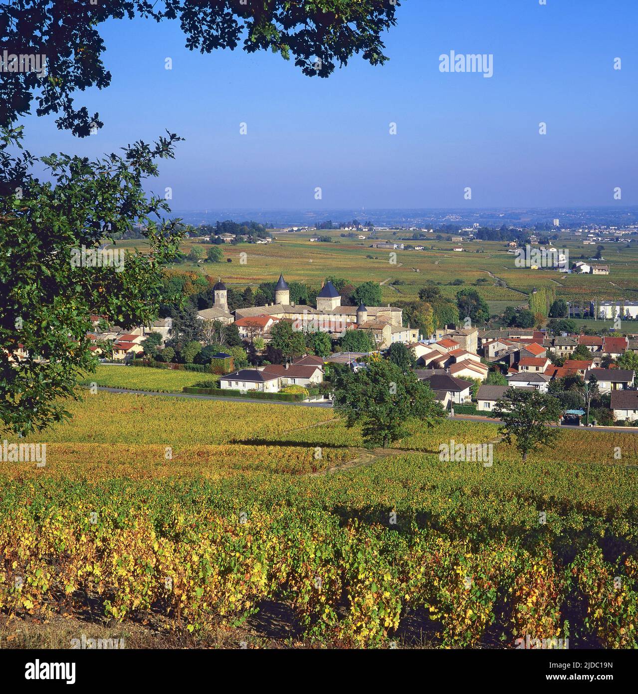 Francia, Rhône Saint-Lager, el pueblo y el castillo rodeado de viñedos en otoño Foto de stock