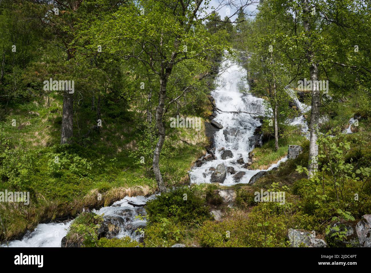 Valle Innerdalen, Noruega, Europa Foto de stock