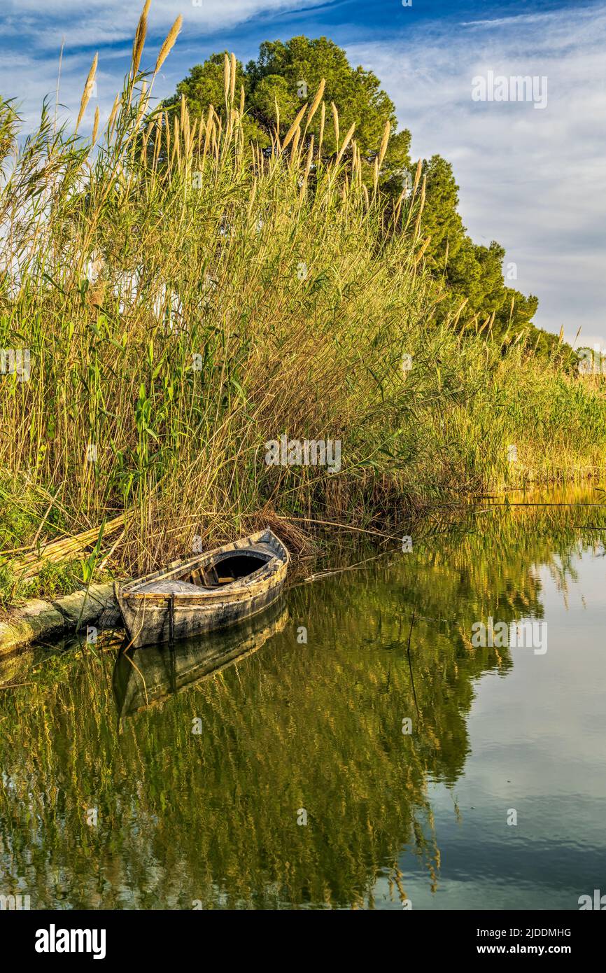 Vista panorámica de un canal de agua, Parque Natural de la Albufera, Valencia, Comunidad Valenciana, España Foto de stock