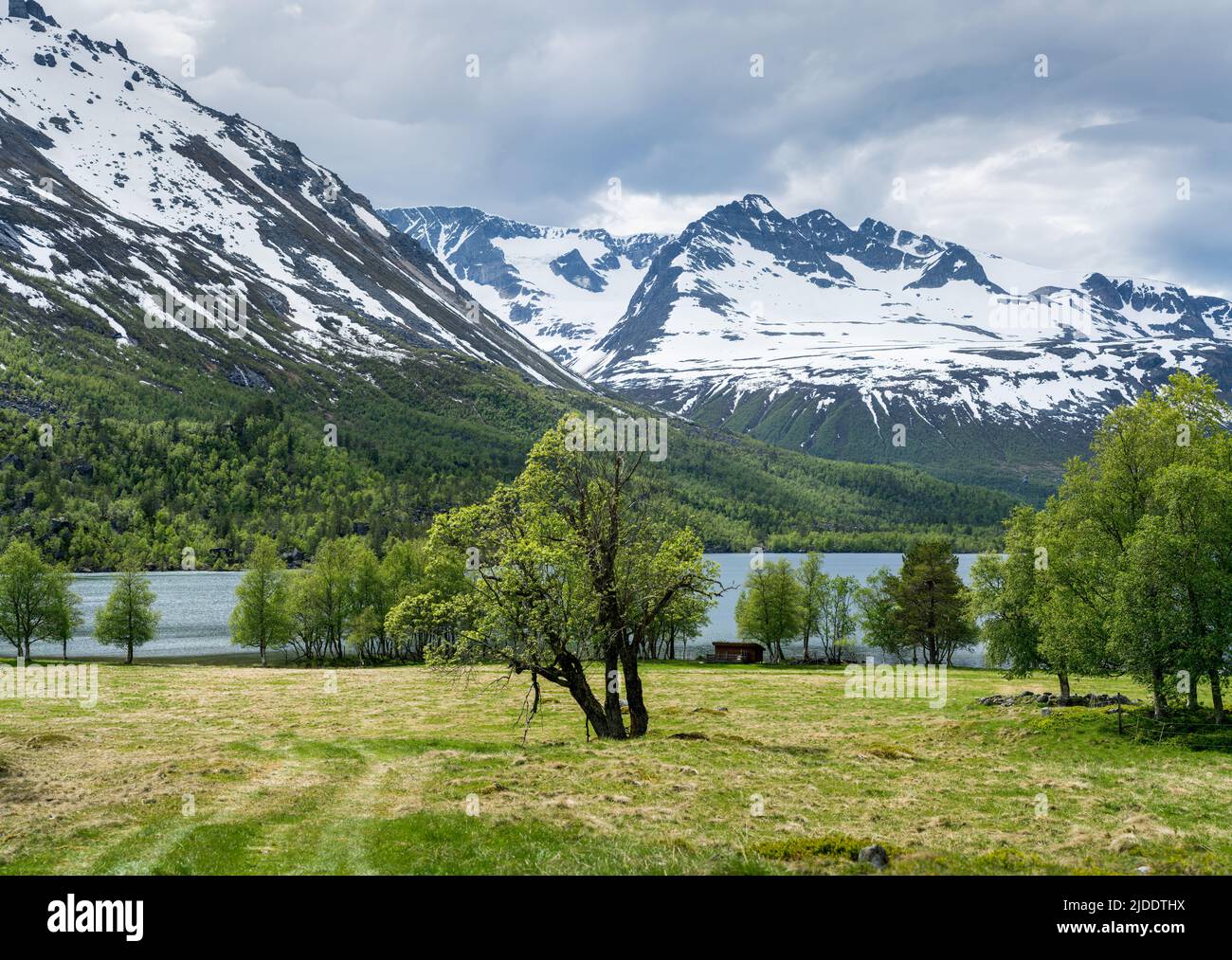 Valle Innerdalen, Noruega, Europa Foto de stock
