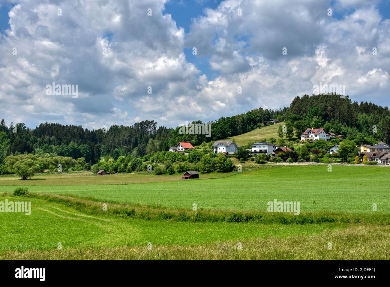 Kefermarkt, Mühlviertel, Landschaft, sanft, Hügel, hügelig, Wiese, Feld, grün, wachsen, Sommer, Siedlung, Haus, Häuser, Felder, sommerlich, stimmungsv Foto de stock