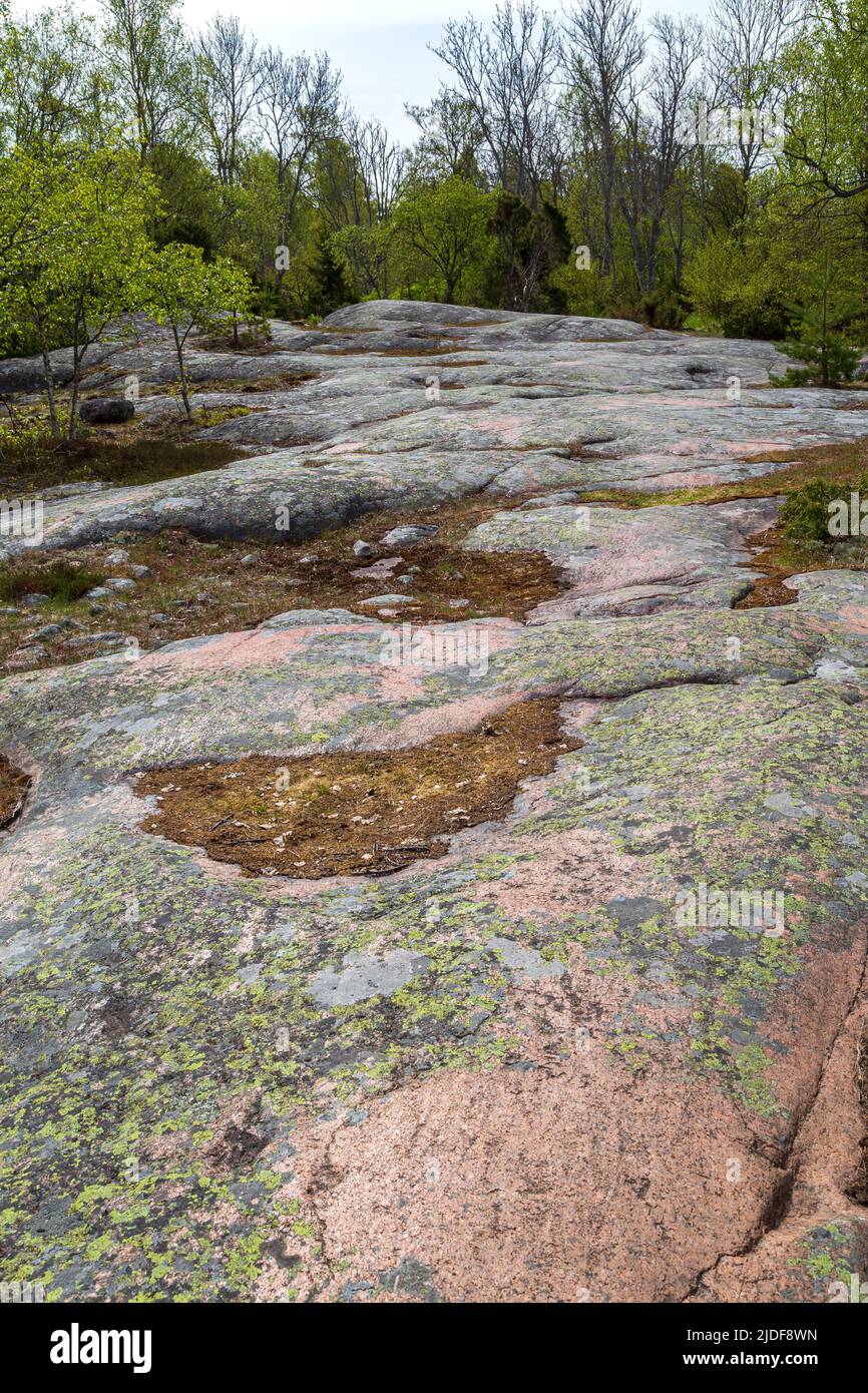 Suave terreno rocoso en un bosque a lo largo del sendero natural de la reserva natural de Järsö en las Islas Åland, Finlandia, en un día soleado en el verano. Foto de stock