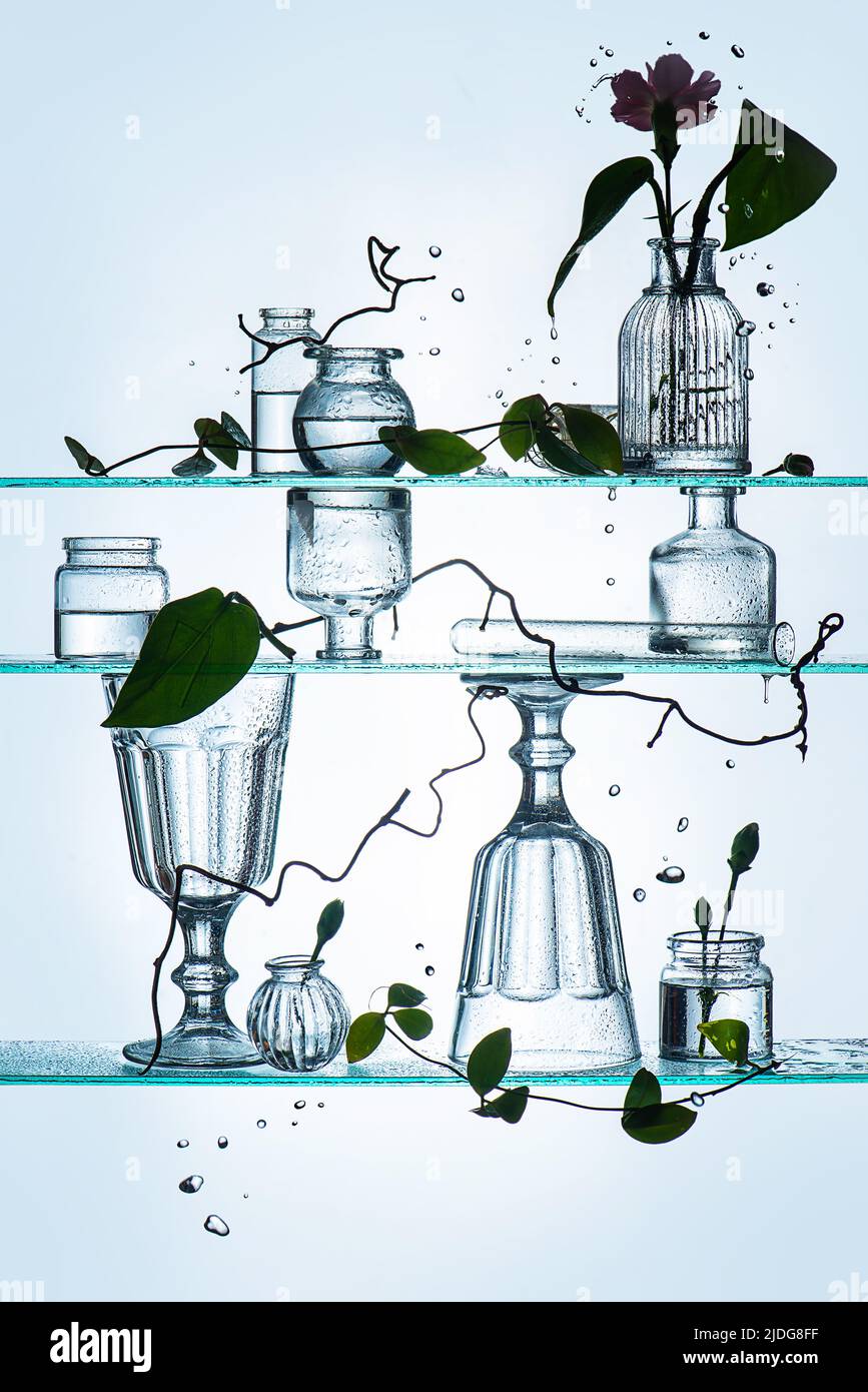 Composición de cristal frágil en contraluz con jarrones, goblets y magnolia vine, schisandra Foto de stock