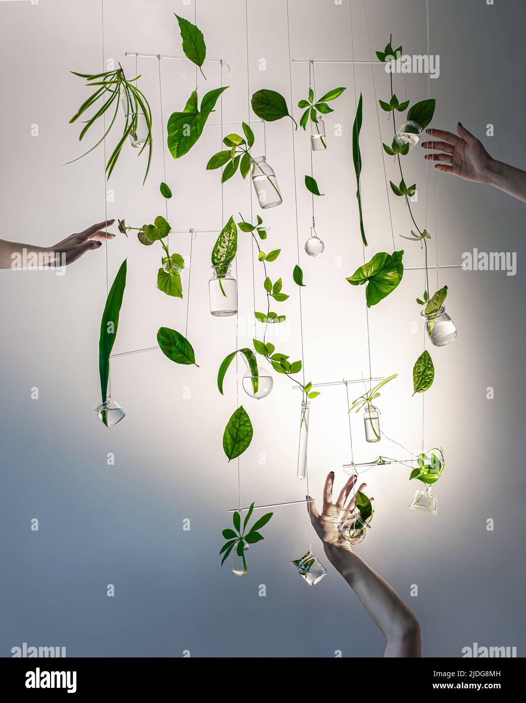 Botellas de vidrio y hojas verdes móviles, escultura en movimiento, interactuando con el concepto de la naturaleza Foto de stock