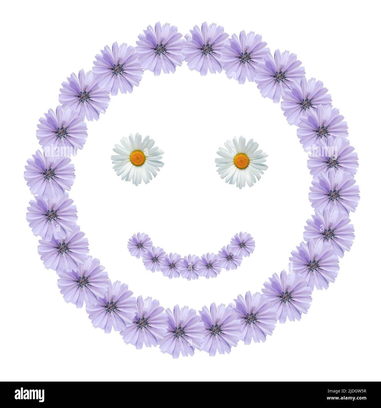 Icono de sonrisa hecho de flores de margarita azul y blanco sobre fondo blanco Foto de stock