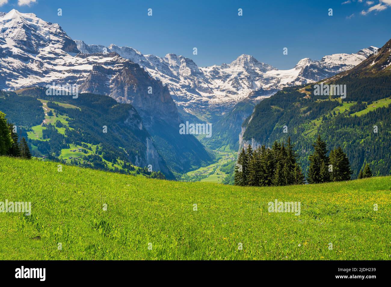 Vista panorámica del verano sobre el valle de Lauterbrunnen con Jungfrau y picos nevados de Breithorn, Wengen, Cantón de Berna, Suiza Foto de stock