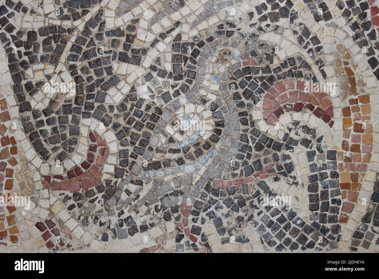 Paloma - detalle de mosaico de la Iglesia de la Virgen María, Madaba siglo 6th Foto de stock