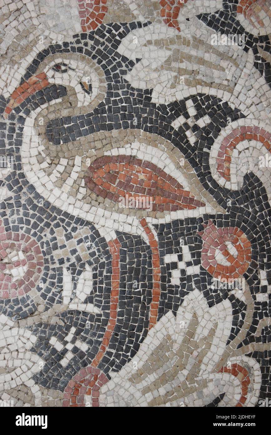 Cigüeña - detalle del mosaico de la Iglesia de San Juan Bautista, Jerash 529AD Foto de stock