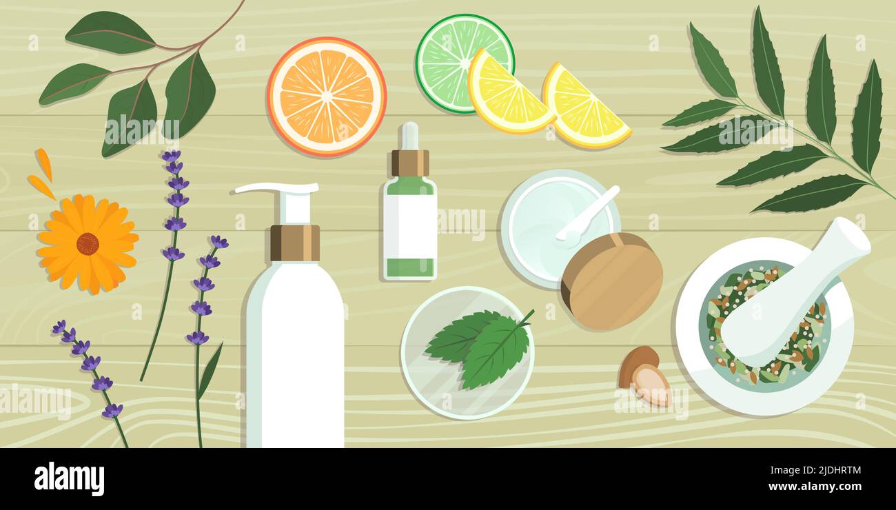 Cosméticos naturales y preparaciones herbales para el cuidado de la piel, la medicina herbaria y los productos orgánicos concepto Ilustración del Vector