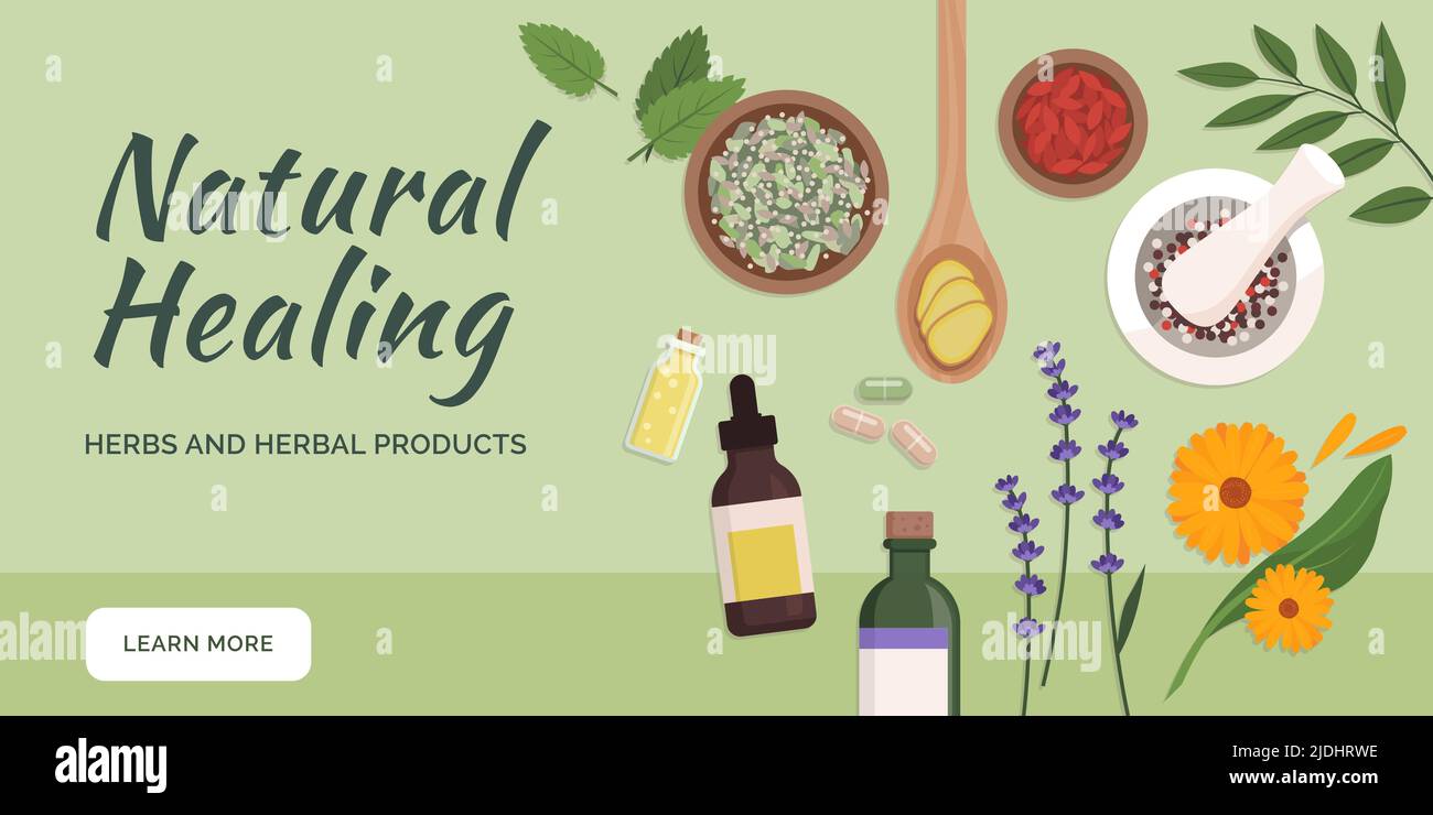 Curación natural y medicina herbaria: Preparaciones herbarias, herramientas y plantas Ilustración del Vector