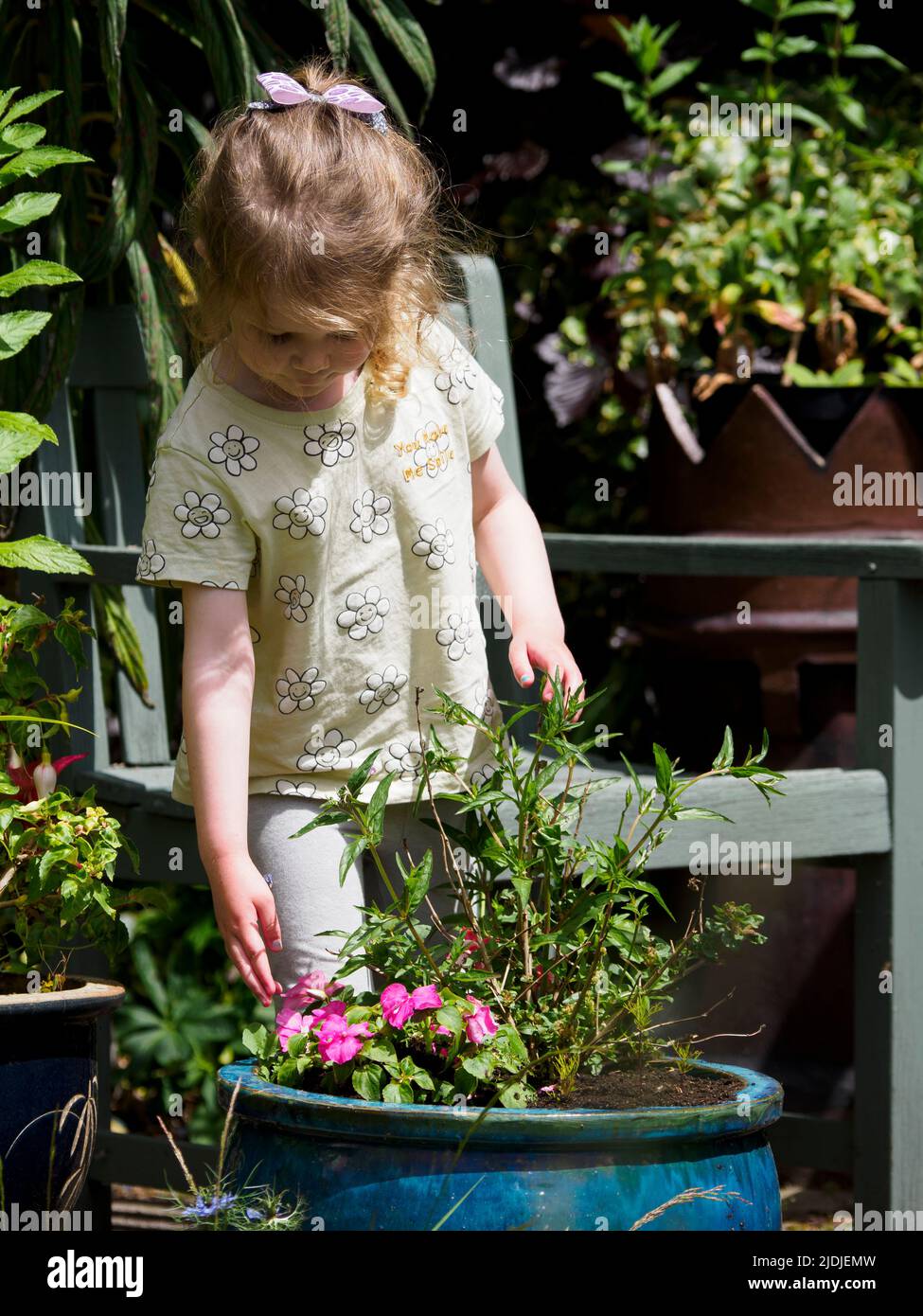 Chica joven mirando las flores en un jardín, Reino Unido Foto de stock