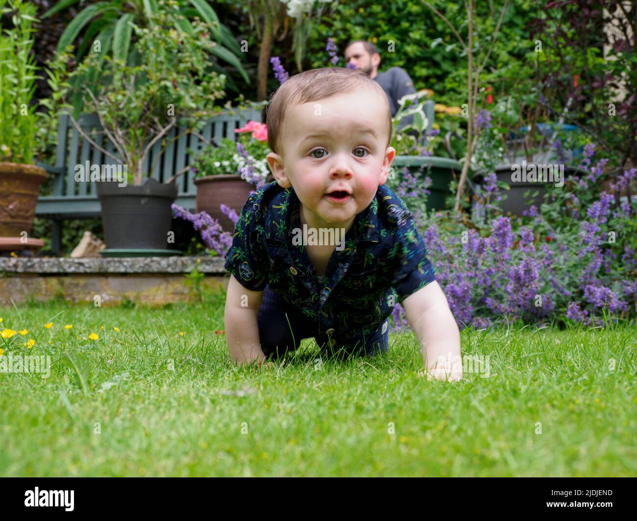 Niño gateando en el césped en el jardín, Reino Unido Foto de stock
