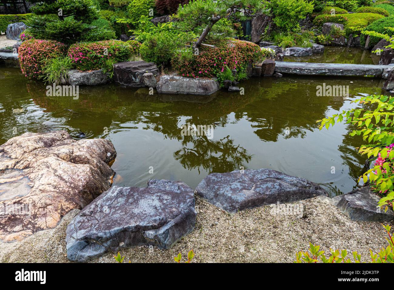Kumakami-en en el Templo Nyohoji - El jardín es una composición bastante moderna compuesta de arbustos esculpidos alrededor de un pequeño estanque. También hay un zen seco Foto de stock