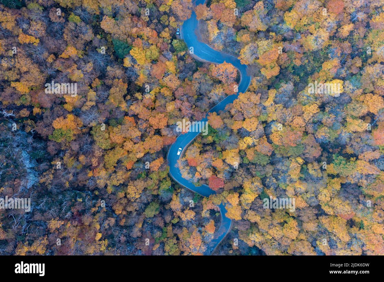 Carretera serpenteante con follaje pico de otoño en Smugglers Notch, Vermont. Foto de stock