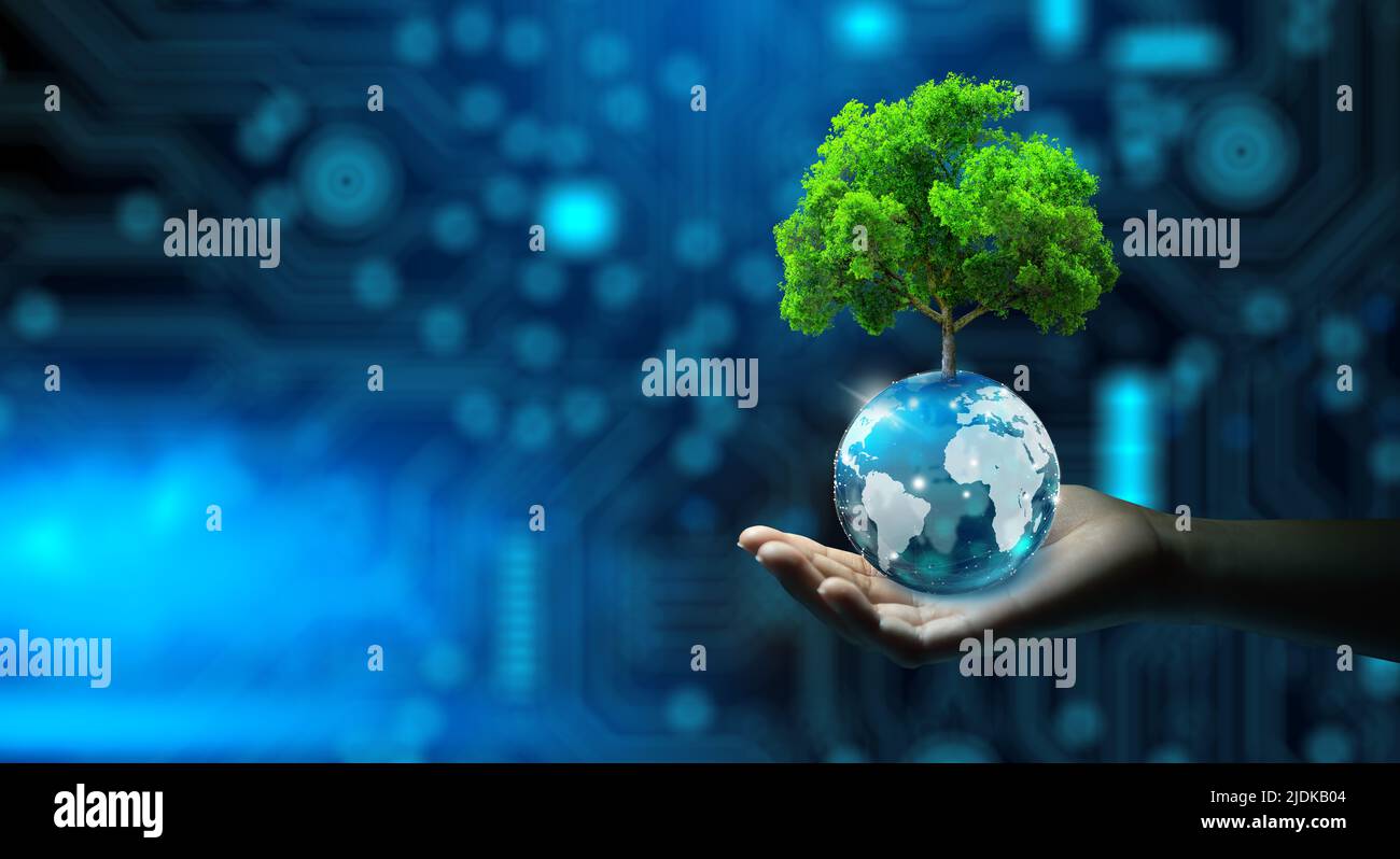 Mano sosteniendo árbol en crecimiento sobre bola de cristal con convergencia tecnológica de fondo azul. Tecnología innovadora, interacción de la tecnología de la naturaleza, Enviro Foto de stock