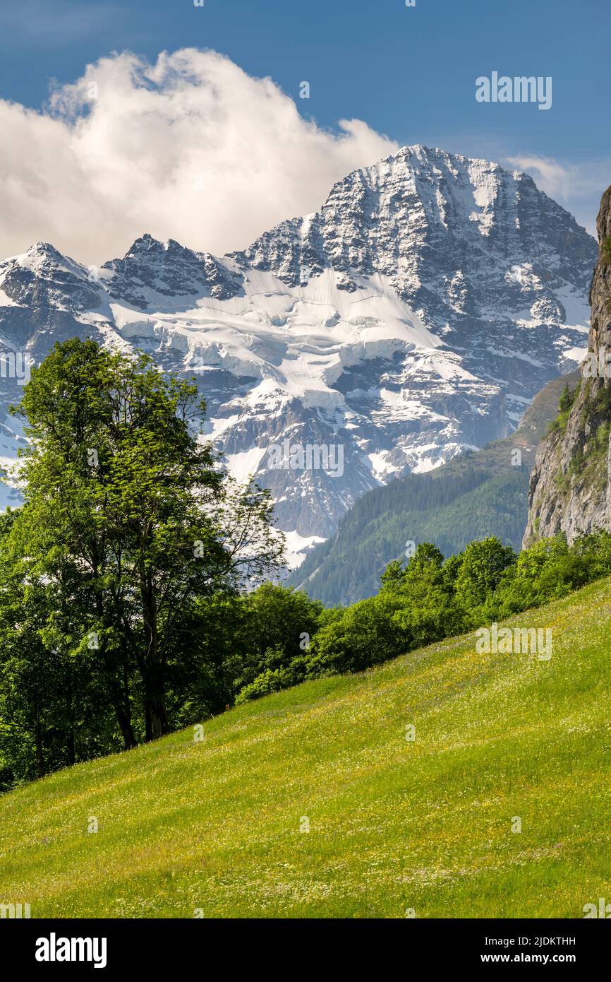 El Breithorn, Lauterbrunnen, Cantón de Berna, Suiza Foto de stock