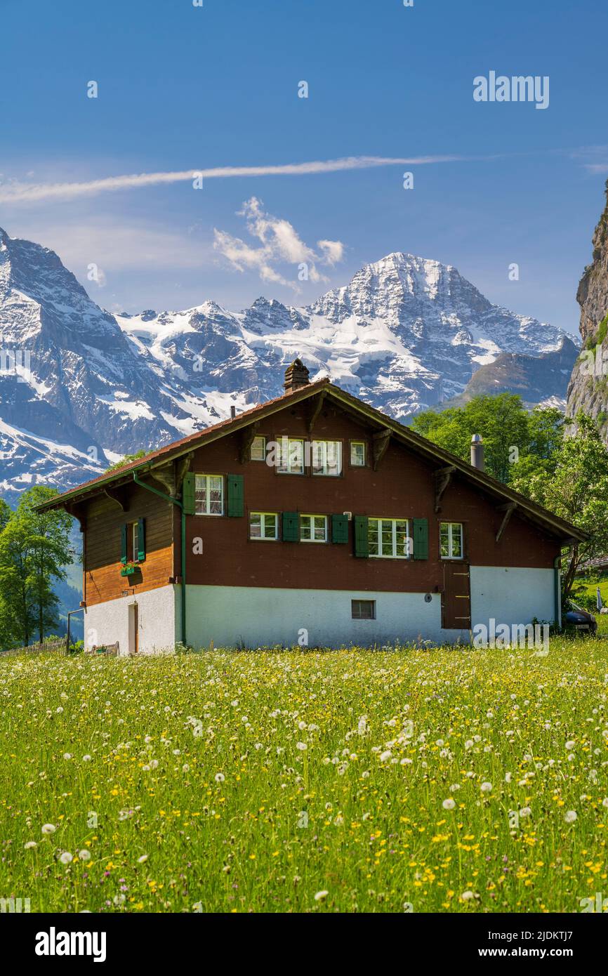 Chalet suizo típico con Alpes berneses detrás, Lauterbrunnen, Cantón de Berna, Suiza Foto de stock